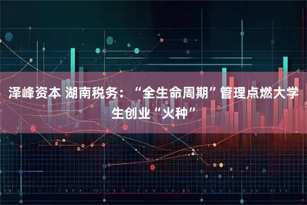 泽峰资本 湖南税务：“全生命周期”管理点燃大学生创业“火种”