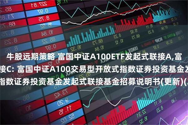 牛股远期策略 富国中证A100ETF发起式联接A,富国中证A100ETF发起式联接C: 富国中证A100交易型开放式指数证券投资基金发起式联接基金招募说明书(更新)(2025年第1号)
