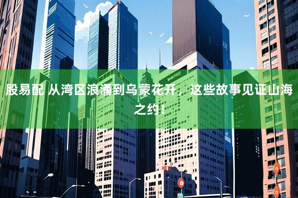 股易配 从湾区浪涌到乌蒙花开，这些故事见证山海之约！