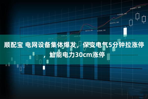 顺配宝 电网设备集体爆发，保变电气5分钟拉涨停，灿能电力30cm涨停