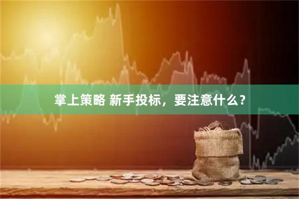 掌上策略 新手投标，要注意什么？